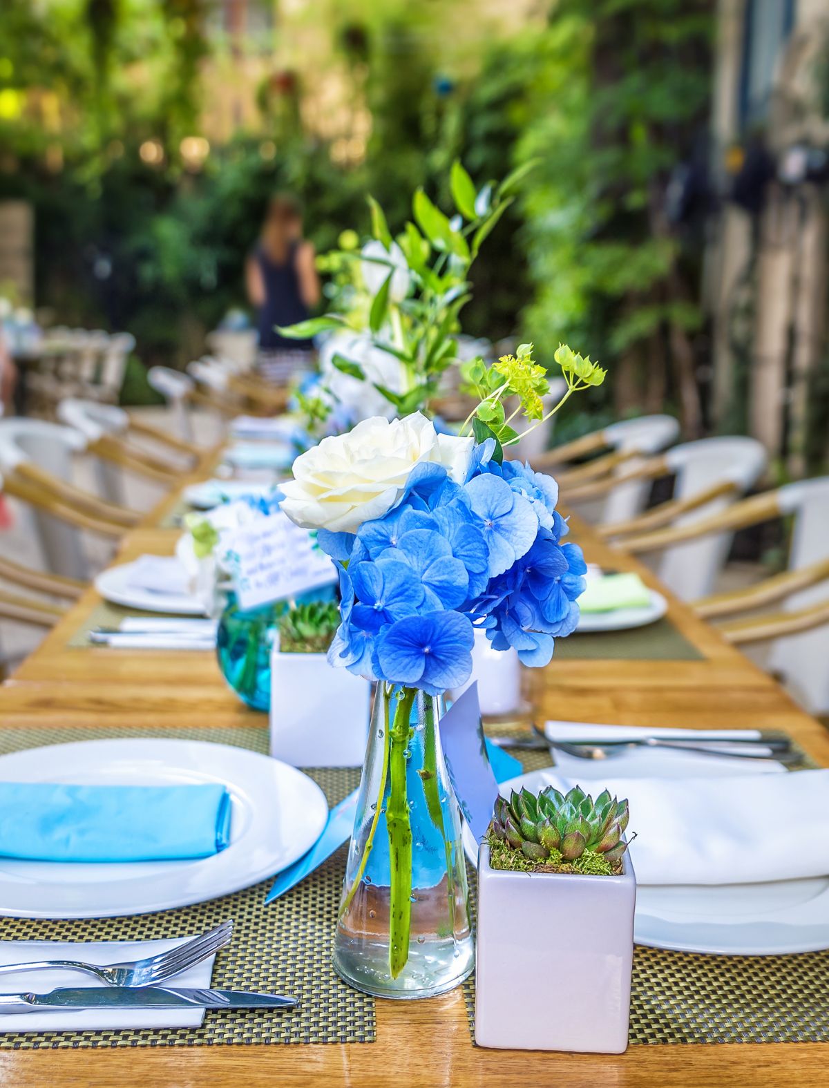 Party Rentals in Tampa Party Rentals in Tampa