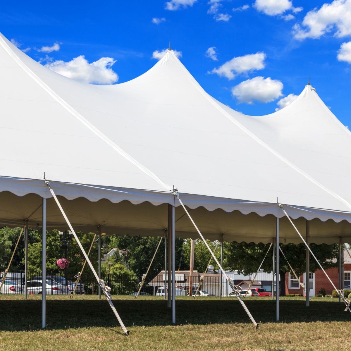 Party Rentals in Hillsborough County