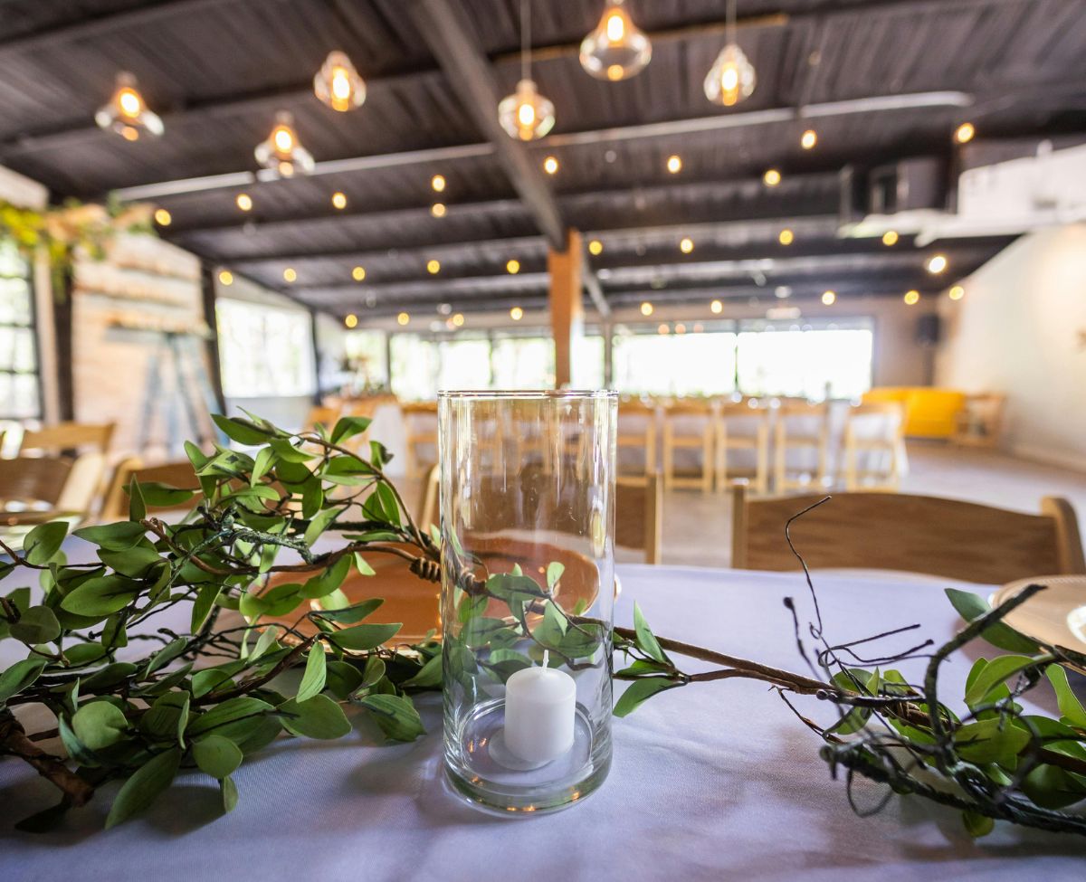 Party Rentals in Tampa Party Rentals in Tampa