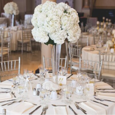 Wedding Rentals in Tampa