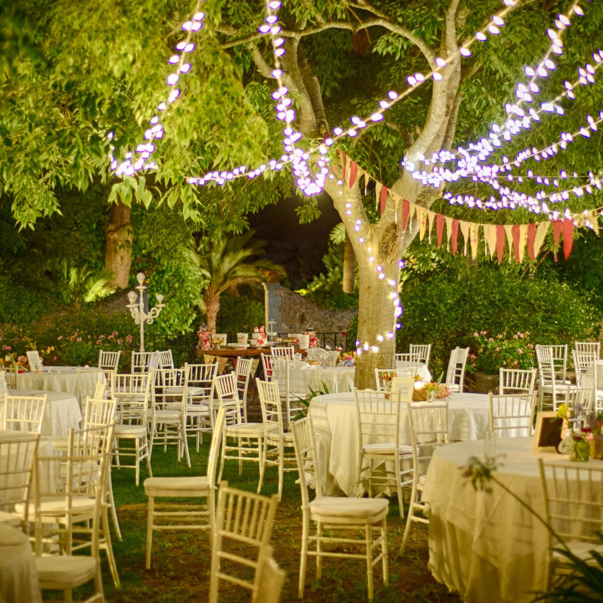 Party Rentals in Tampa Party Rentals in Tampa