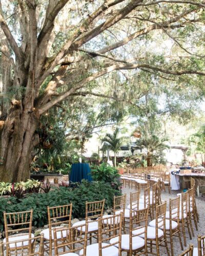 elite-events-tents_tampa-florida-event-rentals_wedding-corporate-party-rentals_outdoor-ceremony-chairs-2 elite-events-tents_tampa-florida-event-rentals_wedding-corporate-party-rentals_outdoor-ceremony-chairs-2
