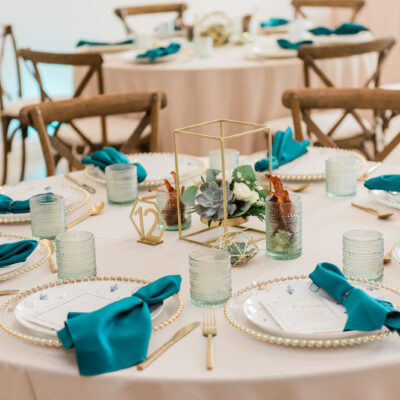 tabletop rentals in tampa bay, tablecloths and plates
