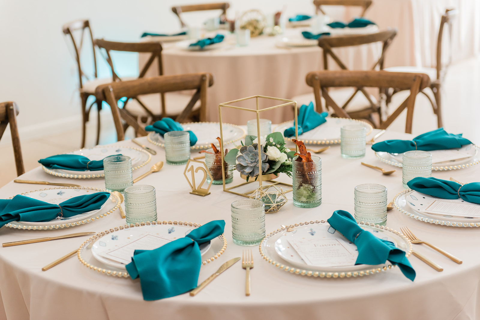 tabletop rentals in tampa bay, tablecloths and plates
