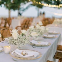 elite-events-tents_tampa-florida-event-rentals_wedding-corporate-party-rentals_tabletop-china-1 elite-events-tents_tampa-florida-event-rentals_wedding-corporate-party-rentals_tabletop-china-1
