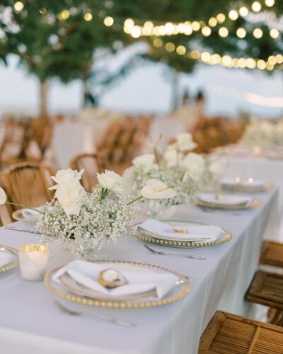 elite-events-tents_tampa-florida-event-rentals_wedding-corporate-party-rentals_tabletop-china-1 elite-events-tents_tampa-florida-event-rentals_wedding-corporate-party-rentals_tabletop-china-1