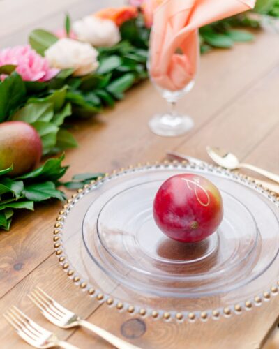 elite-events-tents_tampa-florida-event-rentals_wedding-corporate-party-rentals_tabletop-china-5 elite-events-tents_tampa-florida-event-rentals_wedding-corporate-party-rentals_tabletop-china-5