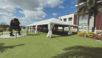 tampa bay event rental company
